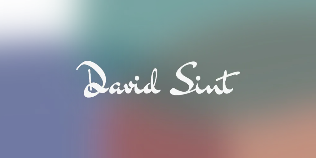 'About David Sint' hero